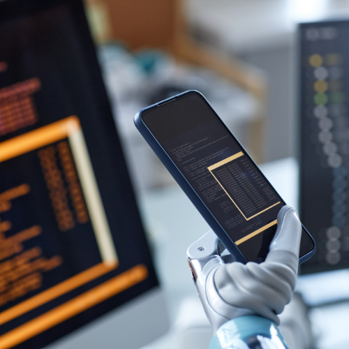 Custom Software Development 