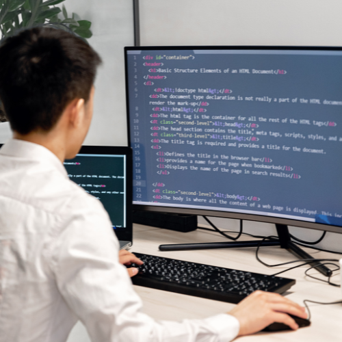 Software Development