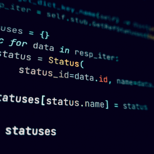 software development