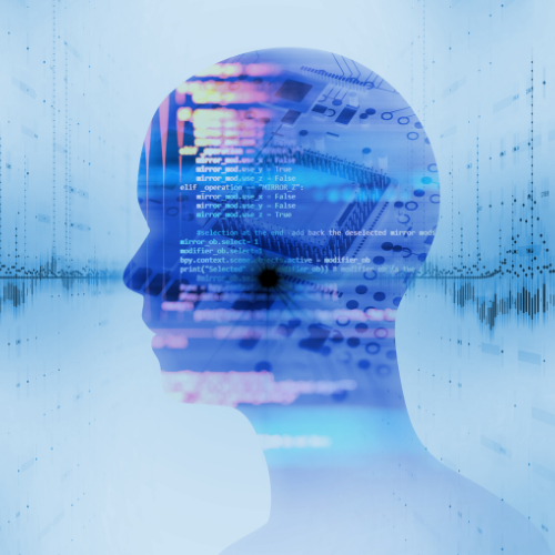 Custom Software Development
